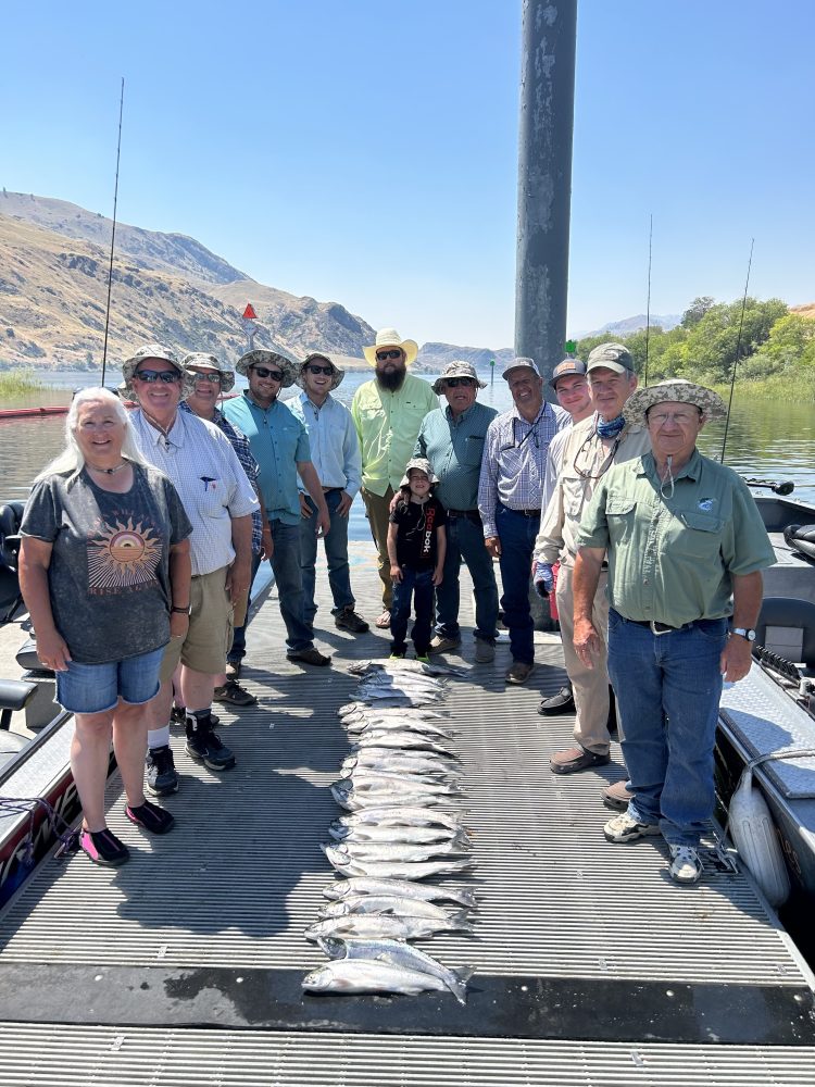 Upper Columbia Sockeye 